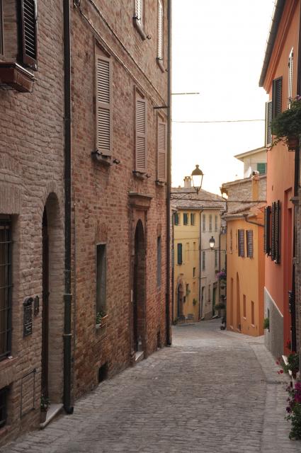 min 2010 08 01 ostra 100